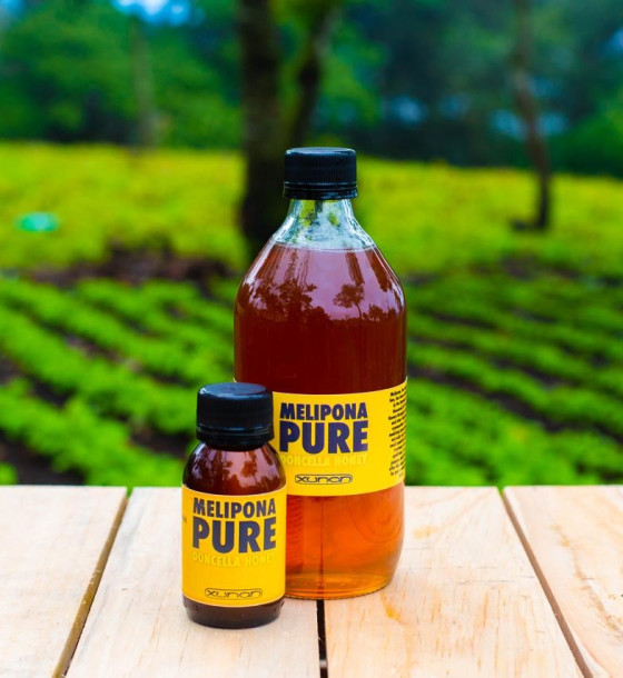 Melipona Pure Doncella Honey