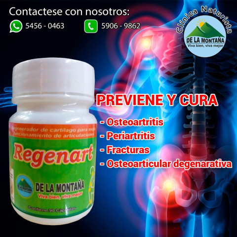 Regenart 90 Capsulas