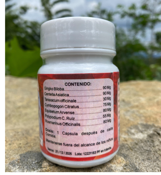 https://soymigrante.com/mercado/cache/large/product/496/JA7KHTDMW6aUt1utpwGjDaWBjZbMN00lFtsS6Xq7.png