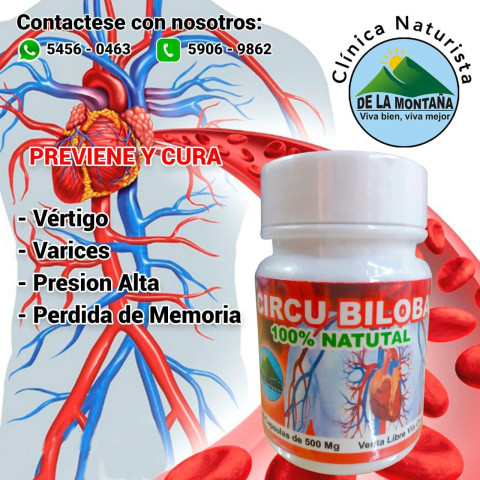 Circu-Biloba 500 Mg