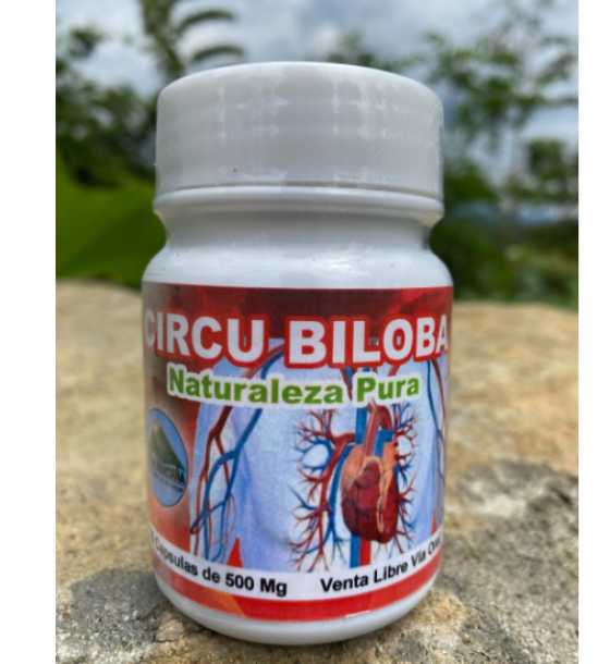 https://soymigrante.com/mercado/cache/large/product/496/pYcVXGp9dHQZoVCCuJhp0S6Qf3EwWu19ZHEOwSaH.png