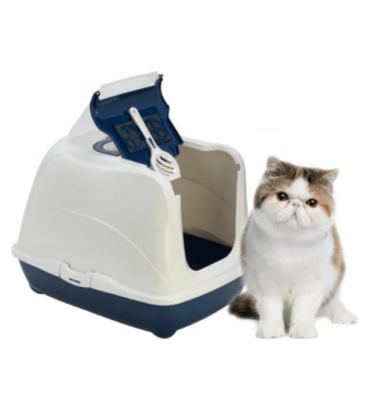 Casa Arenero Flip Cat
