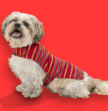 Chaleco para perro Mayan Dog rojo