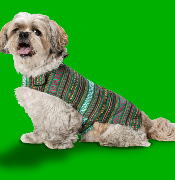 Chaleco para perro Mayan Dog Verde