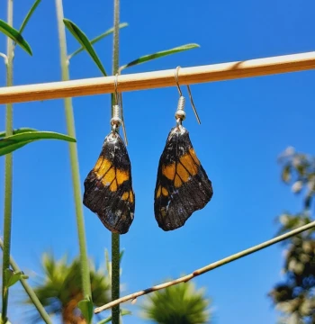 Pendientes mariposa 🦋