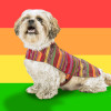 Chaleco para perro Mayan Dog Multicolor