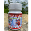 Circu-Biloba 500 Mg
