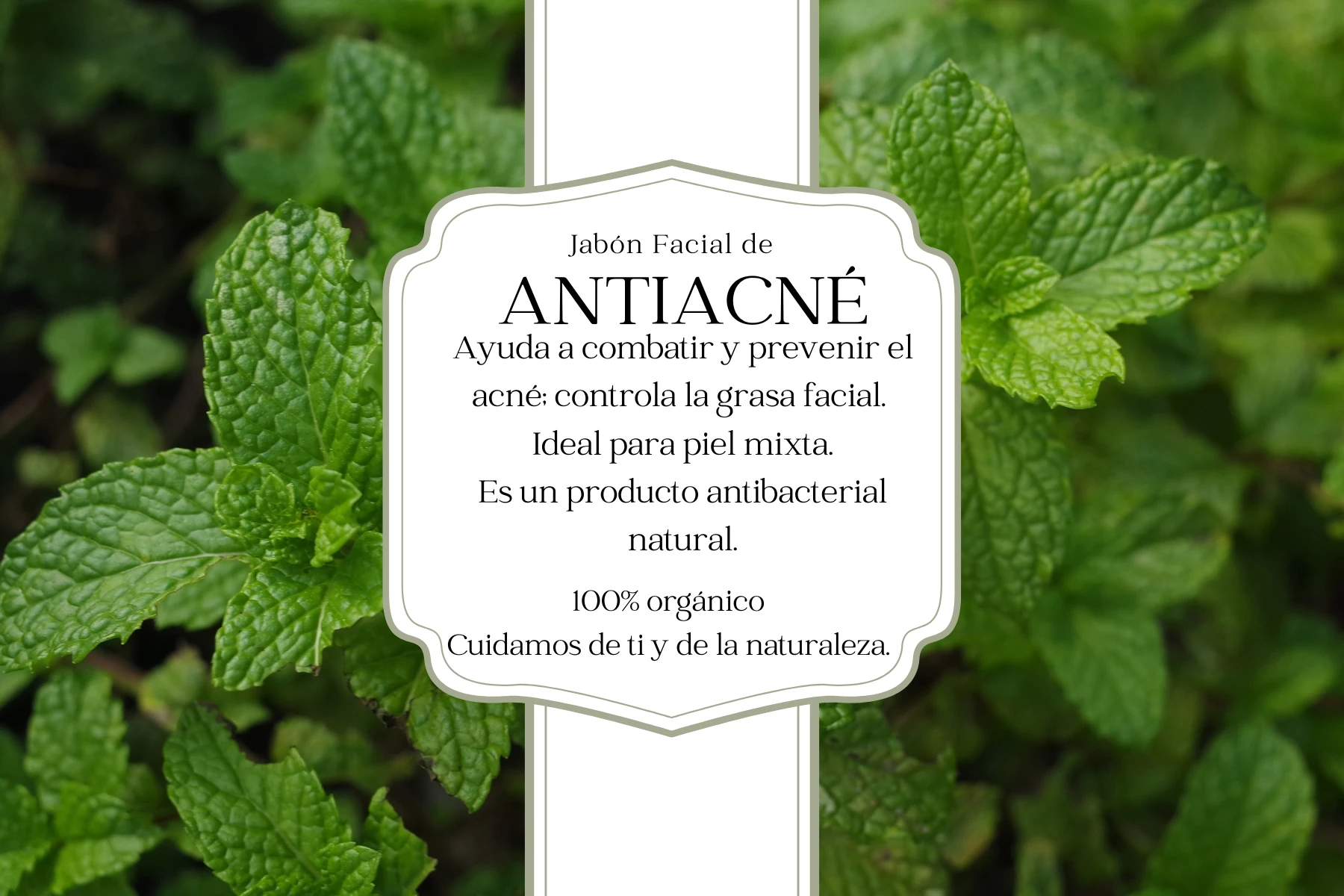 Kit de jabones antiacné