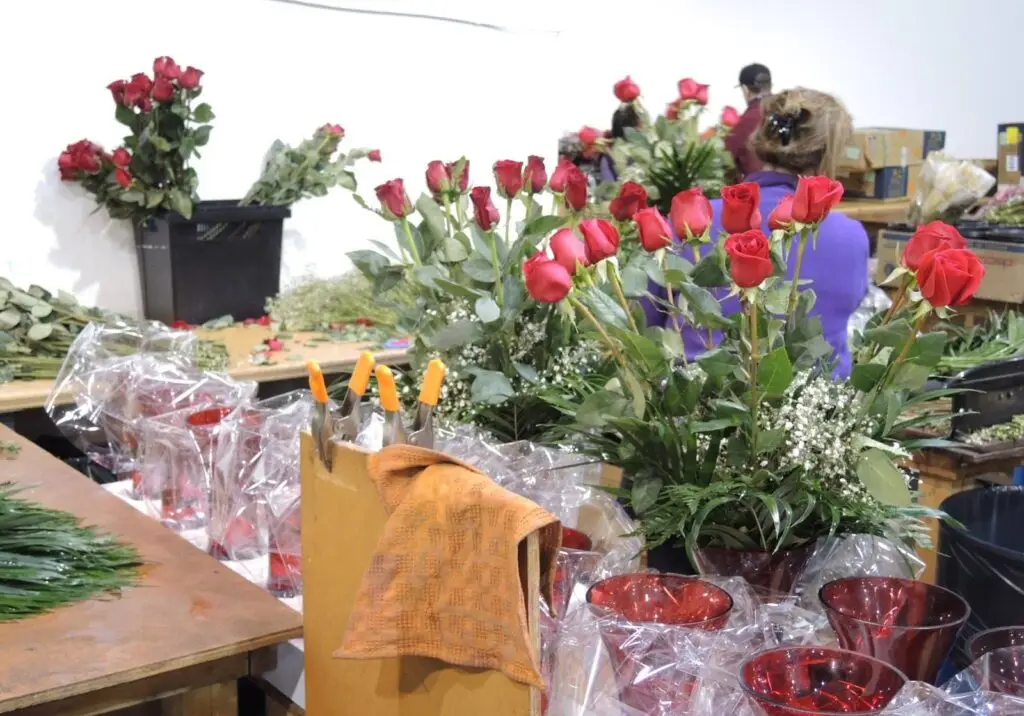 En la compañía importadora y distribuidora de arreglos florales, Antonio López aprendió a enfocarse en objetivos y a saber valorar su potencial. Foto Antonio López 2014 – SoyMigrante.com REVISTA En la compañía importadora y distribuidora de arreglos florales, Antonio López aprendió a enfocarse en objetivos y a saber valorar su potencial. – SoyMigrante.com REVISTA