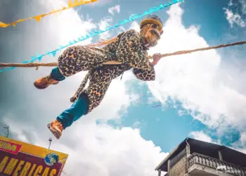 seuimiento monos y tigres – SoyMigrante.com REVISTA – SoyMigrante.com REVISTA