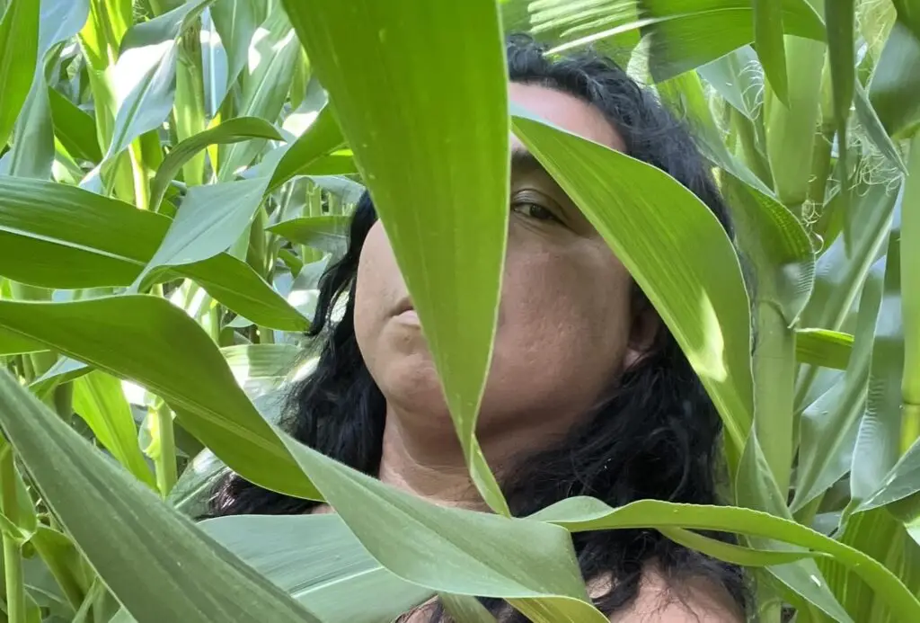 Clemente Aj'Tziij, migrante guatemalteco en Massachussets