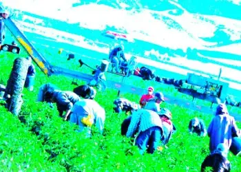 Robo salarial afecta a migrantes pero puede ser denunciado