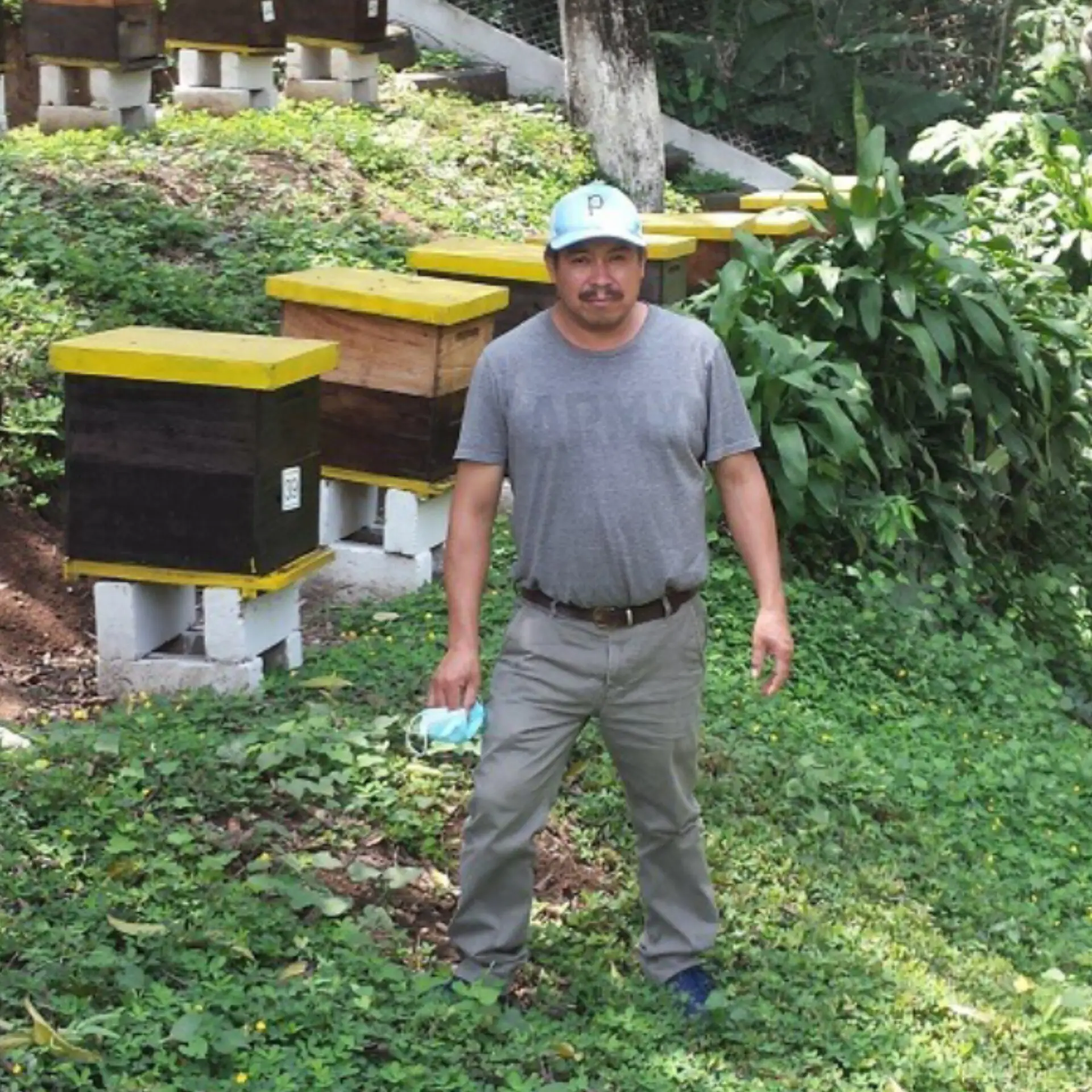 Ovidio Tomás Tzul Álvarez es migrante retornado desde su llegada se dedicó a la carpintería pero su vida dio un giro tras instarle una colmena en la chimenea de su hogar. – SoyMigrante.com REVISTA Ovidio