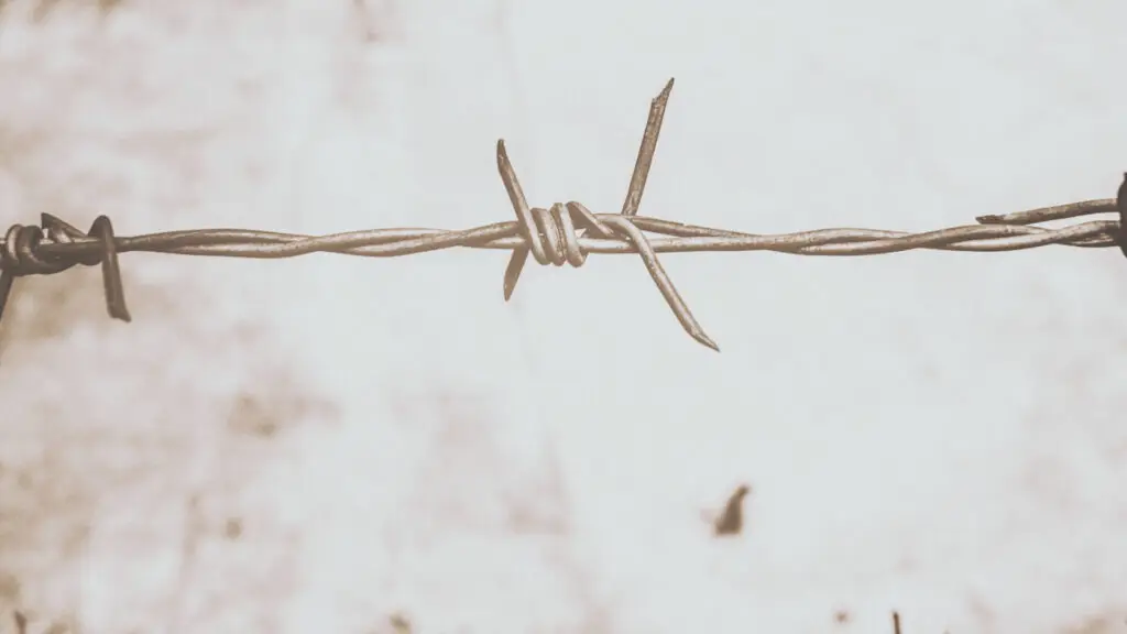 Miles de migrantes desaparecen o fallecen en la frontera más peligrosa entre EE.UU. y México. – SoyMigrante.com REVISTA