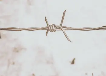 Miles de migrantes desaparecen o fallecen en la frontera más peligrosa entre EE.UU. y México.