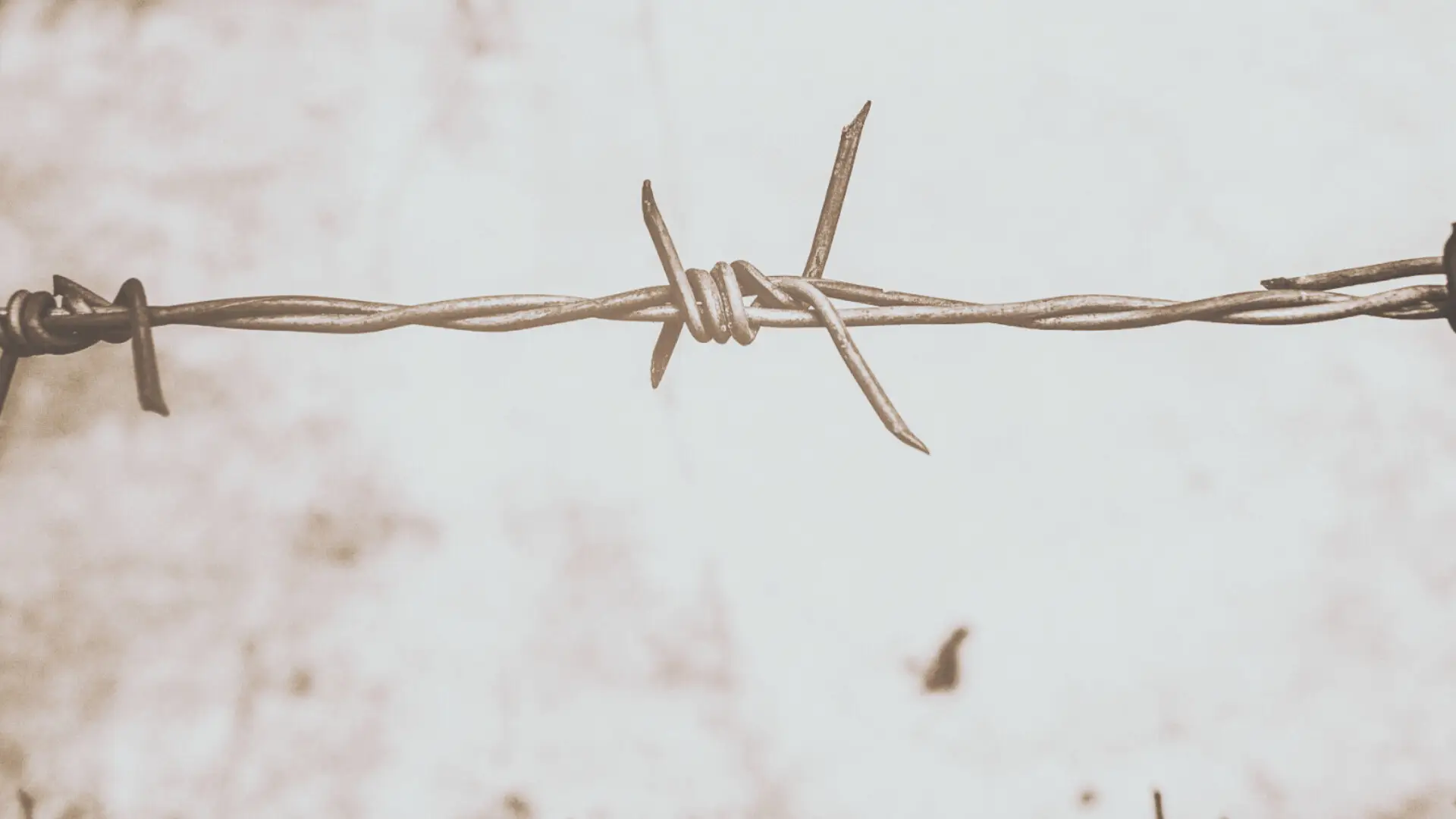 banner – SoyMigrante.com REVISTA Miles de migrantes desaparecen o fallecen en la frontera más peligrosa entre EE.UU. y México.