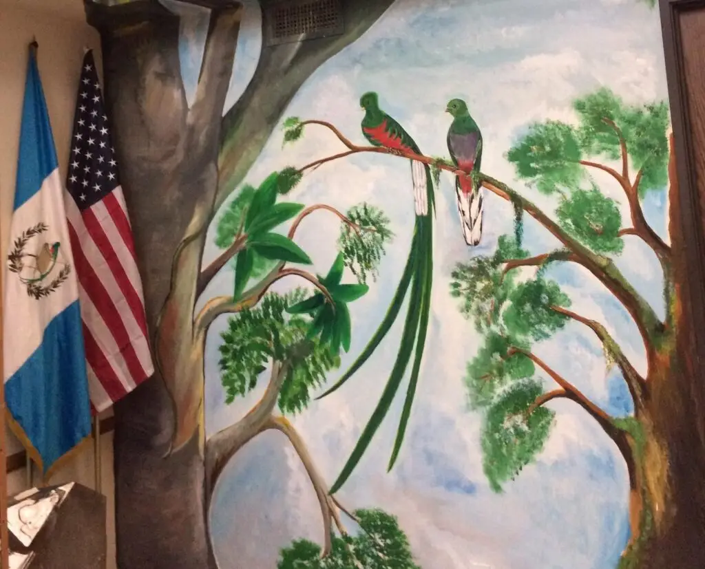  – SoyMigrante.com REVISTA