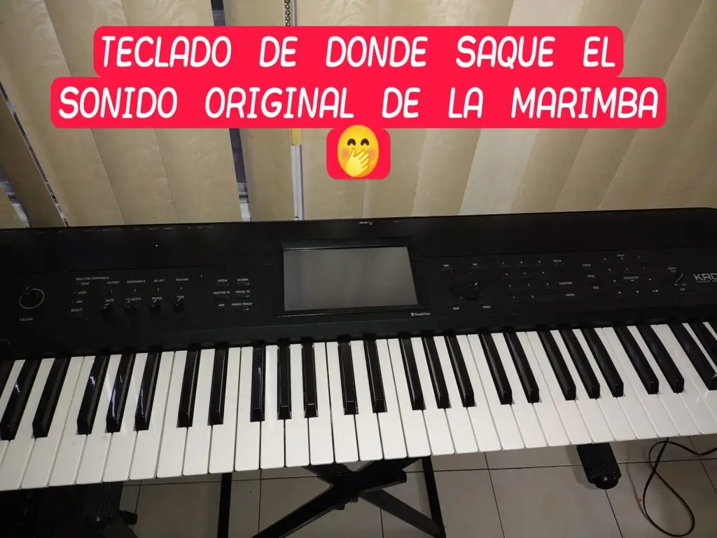 Para pasar el tiempo durante el encierro de pandemia, José empezó a ensayar sonidos con este teclado. Así nació el timbre de la marimba digital 502.