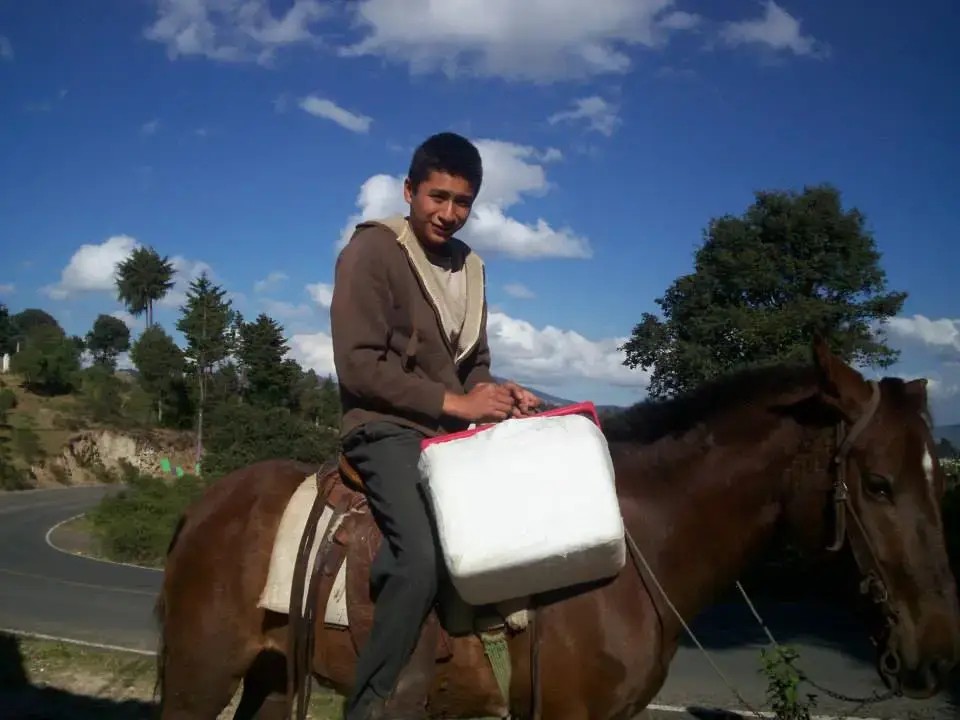 En sus 5 años en Guatemala, Samuel aprendió a montar y se ocupó del cuidadode cultivos. "A veces aqui en USA nos olvidamos de las cosas sencillas de la vida, que son las más hermosas", dice.