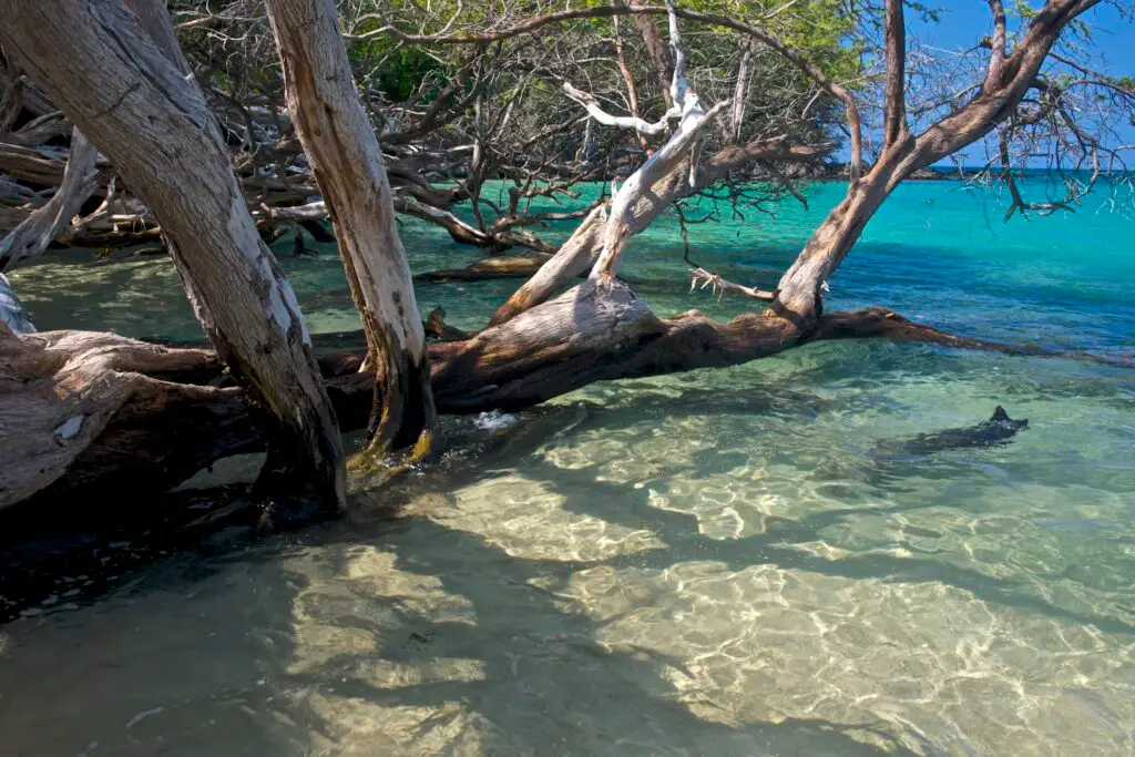 Fotografías de naturaleza y paisaje de Carlos Martínez