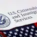 Documentación de inmigración y ciudadanía de EE. UU. en un formulario con la bandera de Estados Unidos.