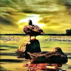 ¿Me voy o no me voy? Pintura de Carlos R. Martínez, arquitecto guatemalteco radicado en Canadá. – SoyMigrante.com REVISTA ¿Me voy o no me voy? Pintura de Carlos R. Martínez, arquitecto guatemalteco radicado en Canadá. – SoyMigrante.com REVISTA