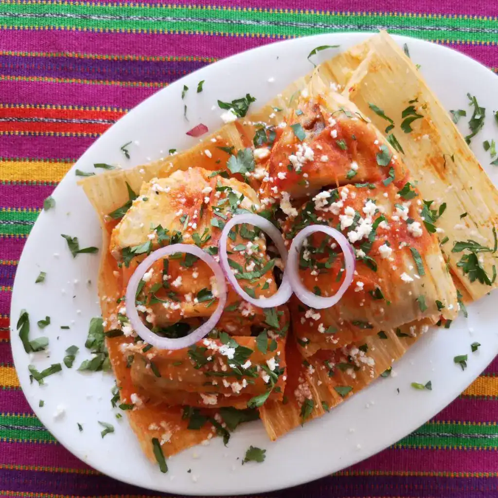 Tortiglioni con salsa de tomate, queso feta y cebolla, plato típico mexicano. – SoyMigrante.com REVISTA