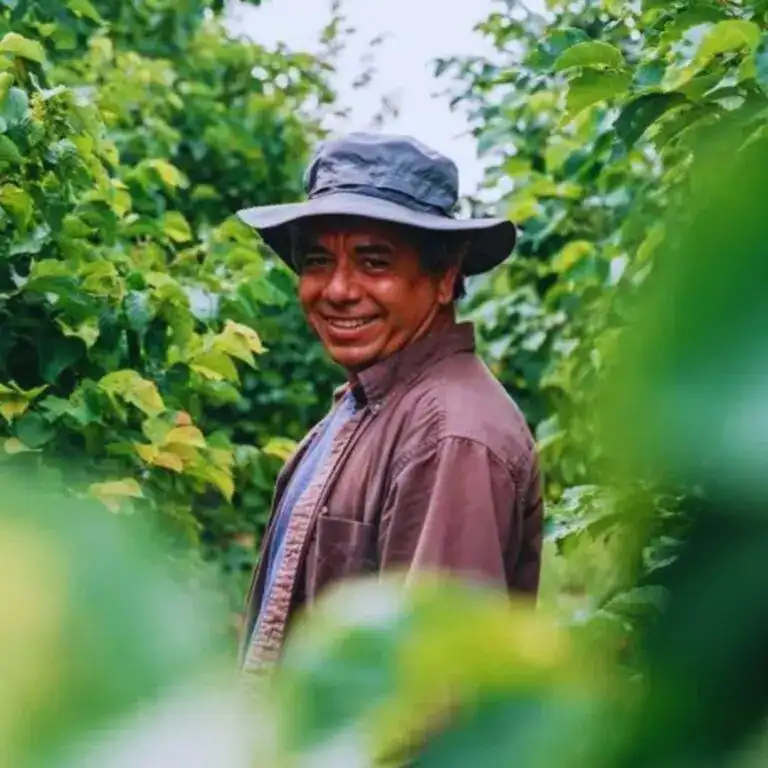 Reginaldo Marroquín Salvatierra, impulsor del modelo Tree Range Farm, guatemalteco radicado en Minnesota desde 1992 y que transforma la industria avícola. – SoyMigrante.com REVISTA Empleado agrícola en un huerto de plantas verdes, trabajando en agricultura, exportación de productos agrícolas, trabajo en campo, sostenibilidad agrícola, flexible y amigable con la naturaleza.