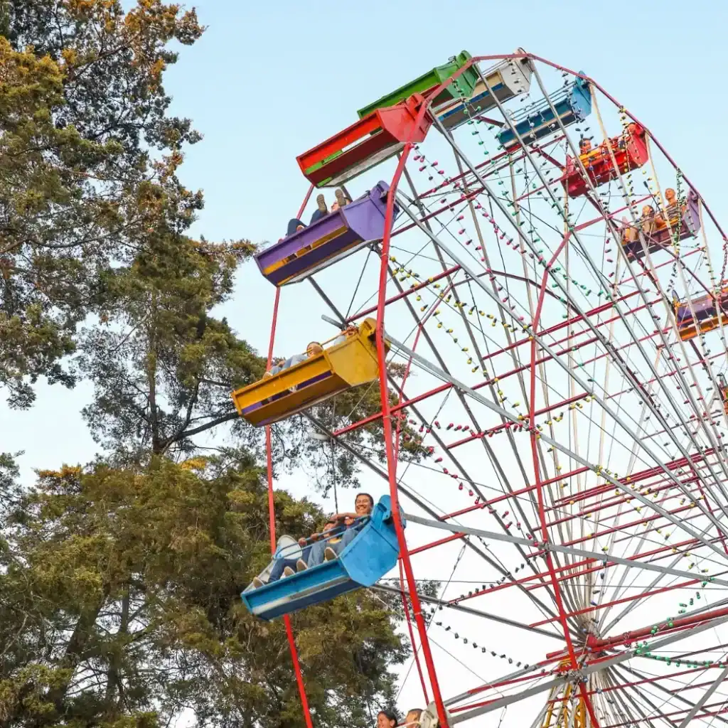 Parque de diversiones con rueda de la fortuna colorida y personas disfrutando en los asientos, rodeado de árboles verdes, en un día soleado. – SoyMigrante.com REVISTA
