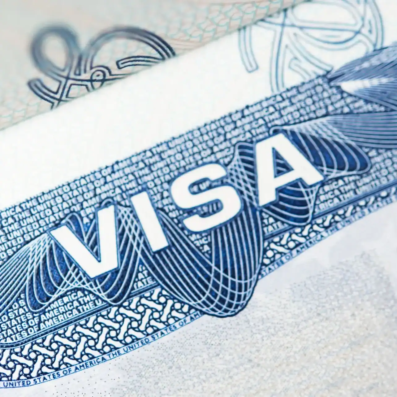 Dinero estadounidense, billete de USD con claro enfoque en migrantes y economía.
