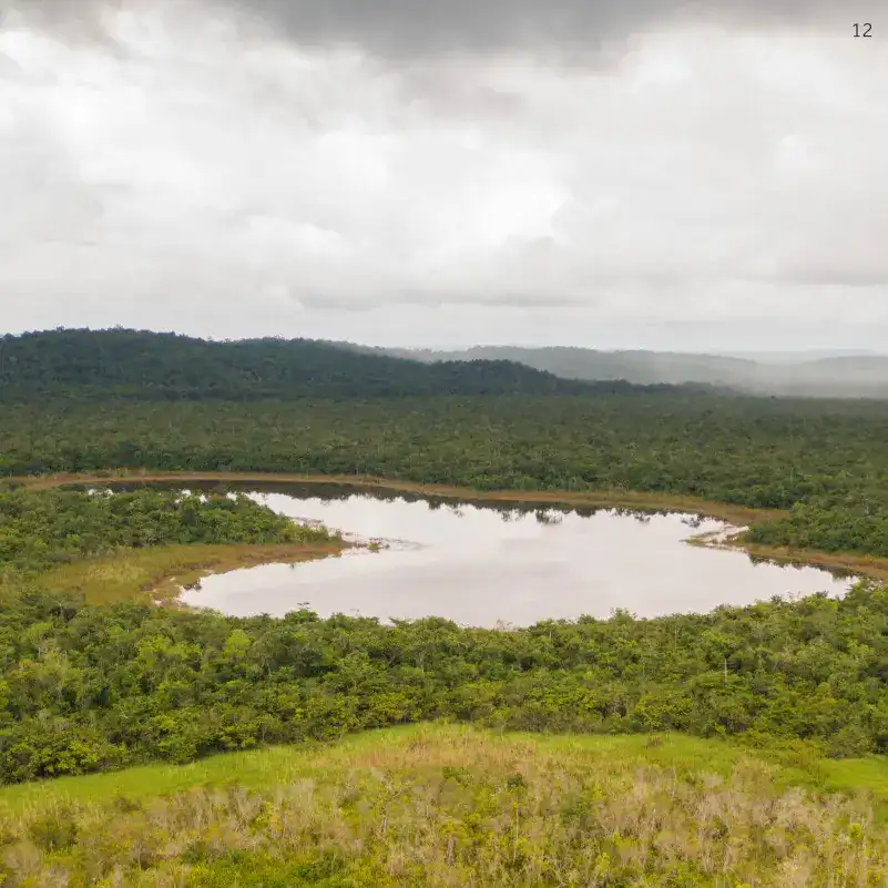 Laguna en medio de la selva tropical, rodeada de vegetación y montañas, en un entorno natural y biodiverso, ideal para publicaciones sobre medio ambiente y migración sostenible. – SoyMigrante.com REVISTA