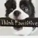 Think Pawsitive perro con mensaje motivacional en bata y fondo neutro.