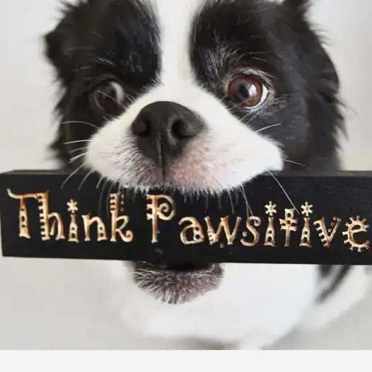 Think Pawsitive perro con mensaje motivacional en bata y fondo neutro. – SoyMigrante.com REVISTA