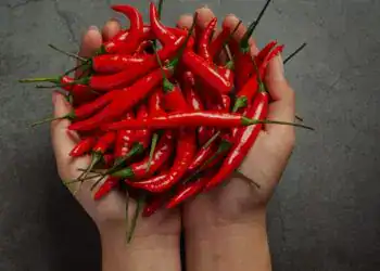 Maria de fuego, ajíes rojos frescos en manos, simbolizando cultura y tradiciones culinarias latinoamericanas. Ideal para contenido sobre gastronomía, migrantes y cultura latina.