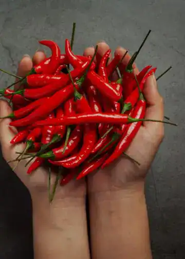 Maria de fuego, ajíes rojos frescos en manos, simbolizando cultura y tradiciones culinarias latinoamericanas. Ideal para contenido sobre gastronomía, migrantes y cultura latina. – SoyMigrante.com REVISTA