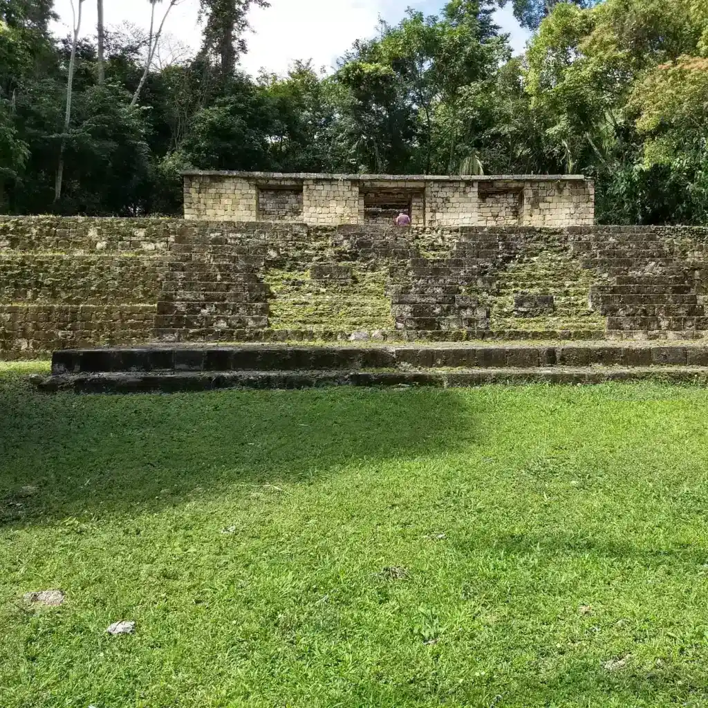 Restauración de ruinas mayas en un entorno selvático, destacando la historia y cultura antigua de México y Centroamérica. – SoyMigrante.com REVISTA