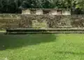 Restauración de ruinas mayas en un entorno selvático, destacando la historia y cultura antigua de México y Centroamérica. – SoyMigrante.com REVISTA