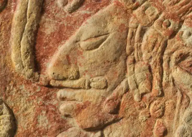 Huellas de antiguas civilizaciones en piedra, representación de arte precolombino en México, iconografía cultural, historia ancestral y patrimonio arqueológico mexicano.