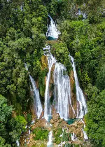 Cascada rodeada de densa vegetación tropical en un entorno natural, ideal para turismo de aventura y ecoturismo.