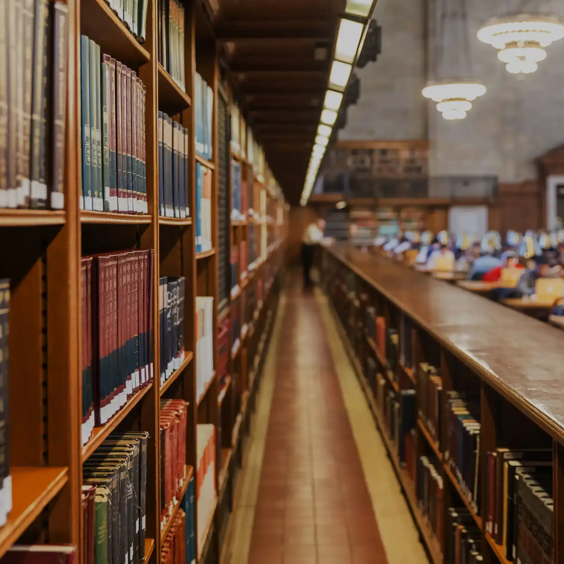 Nunca se deja de aprender:  bibliotecas públicas en USA son una escuela abierta