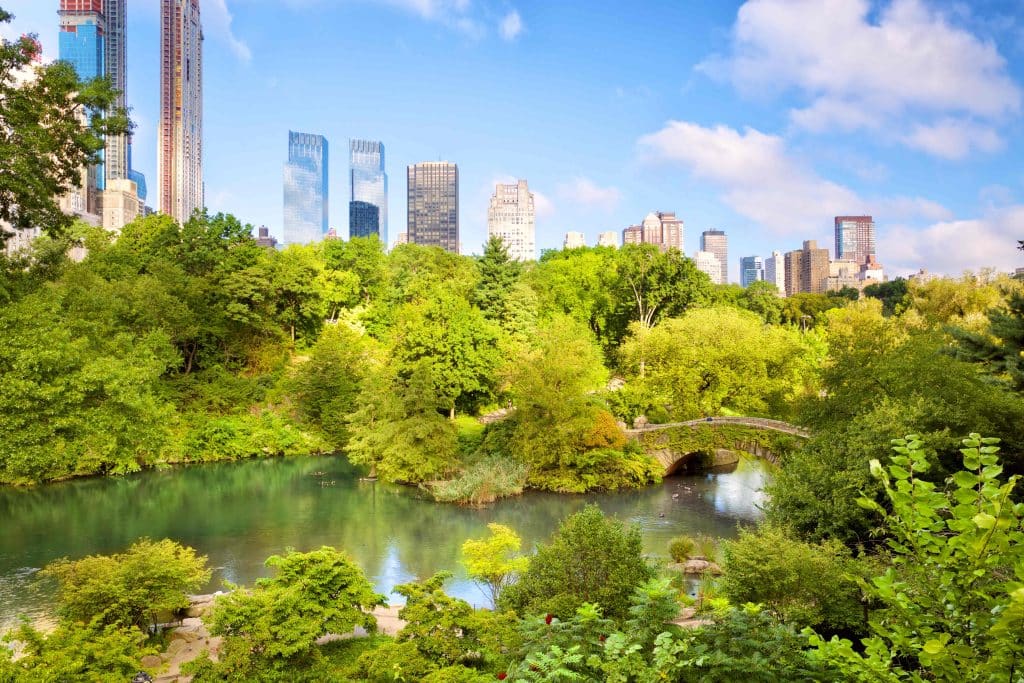 Tamaño y vibrante paisaje urbano y natural en Central Park, Nueva York, con lagos, árboles frondosos y modernos rascacielos de fondo, símbolo de la diversidad y vitalidad de la ciudad.