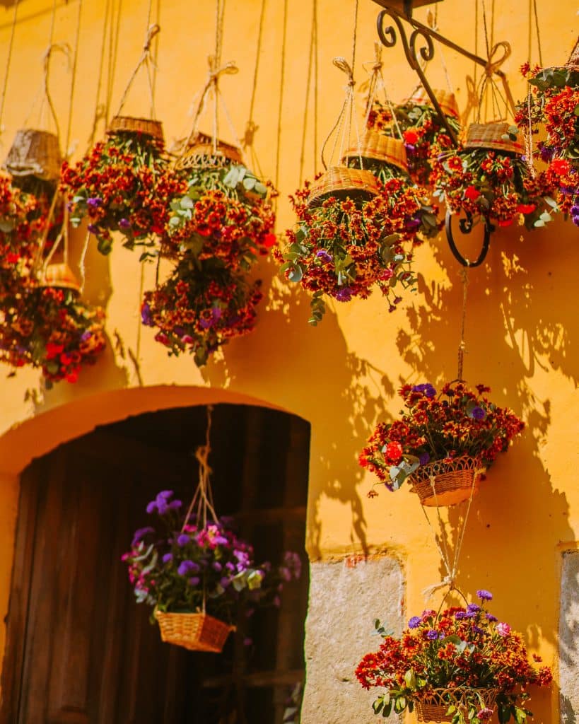 Bandas de flores y cestas de mimbre colgadas en la pared amarilla, decorando un espacio con estilo rústico y vibrante, evocando la tradición y belleza del arte floral en el entorno artesanal.