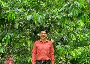 Amplio árbol de hoja perenne con un hombre sonriendo en medio de la naturaleza, símbolo de crecimiento y sostenibilidad para artículos de agricultura y medio ambiente en SoyMigrante.com REVISTA.