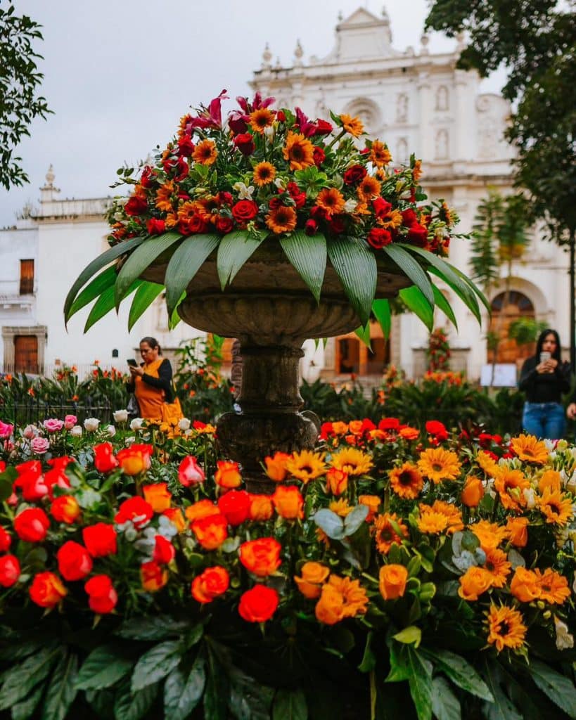 Ramo de flores coloridas en una fuente en una plaza histórica en Arequipa, Perú, durante un evento cultural y festivo, con edificios coloniales en el fondo.
