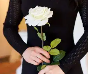 Bello ramo de rosa blanca en manos de mujer en vestido negro para homenaje y celebración, símbolo de paz y amor, en contexto de revista SoyMigrante. – SoyMigrante.com REVISTA