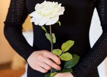 Bello ramo de rosa blanca en manos de mujer en vestido negro para homenaje y celebración, símbolo de paz y amor, en contexto de revista SoyMigrante. – SoyMigrante.com REVISTA