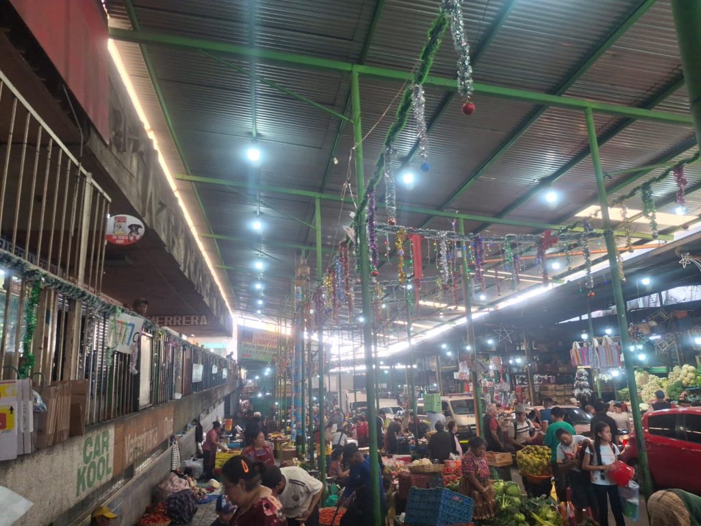 Las estrellas titilan colgadas de alambres y las voces se multiplican con la esperanza de vender. La Terminal es lugar de actividad económica intensa, el último tramo después de un largo proceso de cultivo o la primera escala de una deliciosa cena de Navidad o Año Nuevo. – SoyMigrante.com REVISTA Las estrellas titilan colgadas de alambres y las voces se multiplican con la esperanza de vender. La Terminal es lugar de actividad económica intensa, el último tramo después de un largo proceso de cultivo o la primera escala de una deliciosa cena de Navidad o Año Nuevo. – SoyMigrante.com REVISTA