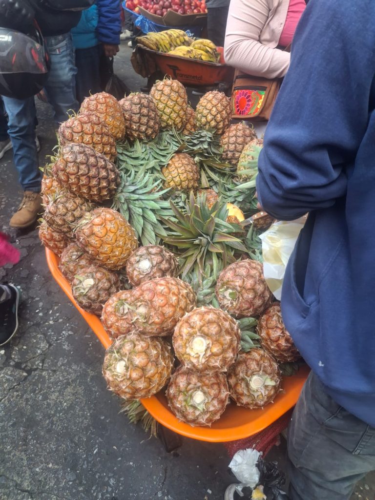 No se como hace el vendedor para decir muchas veces seguidas "Lapiña-lapiña-lapiña-lapiña-lapiña..." Ingrediente fundamental para el ponche guatemalteco, mas no el único, porque también lleva manzana, mamey, jocote, plátano y ¿qué más? – SoyMigrante.com REVISTA No se como hace el vendedor para decir muchas veces seguidas "Lapiña-lapiña-lapiña-lapiña-lapiña..." Ingrediente fundamental para el ponche guatemalteco, mas no el único, porque también lleva manzana, mamey, jocote, plátano y ¿qué más? – SoyMigrante.com REVISTA