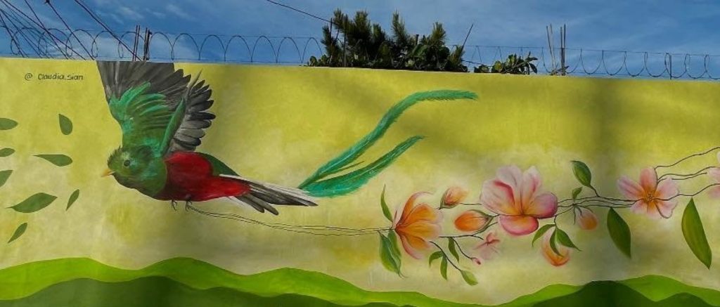 Mural de la artista guatemalteca Claudia Sian en un muro de San Miguel Petapa, Guatemala. Al ver este quetzal en pleno vuelo pero con alambre de púas y dejando un rastro de flores puede imaginarse una metáfora del sacrificio migrante. – SoyMigrante.com REVISTA Mural de la artista guatemalteca Claudia Sian en un muro de San Miguel Petapa, Guatemala. Al ver este quetzal en pleno vuelo pero con alambre de púas y dejando un rastro de flores puede imaginarse una metáfora del sacrificio migrante. – SoyMigrante.com REVISTA