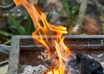 Video viral de una tortilla con carne al fuego despierta sabor a recuerdos, familia y felicidad